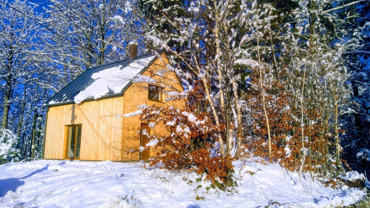 Chata Na Sjezdovce Malenovice (Moravia-Silesia) Exterior foto